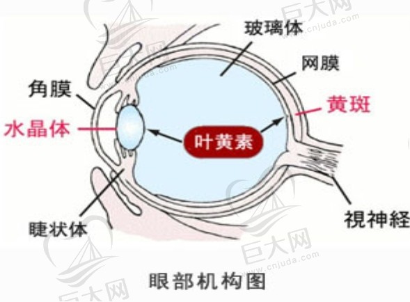 南京江宁鼻祖整形怎么样？价格表？专家强烈推荐？